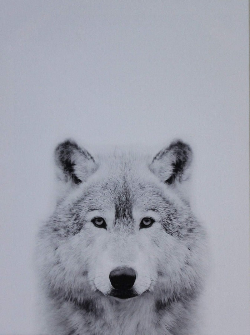 Black and white wolf- Classy Canvas Designs