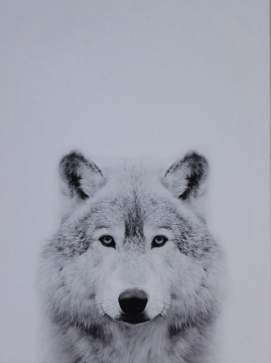 Black and white wolf- Classy Canvas Designs