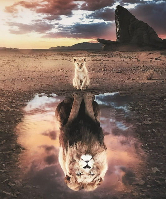 Motivational, Canvas print “Perception is everything”. Lion’s reflection. - Classy Canvas Designs
